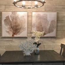 Load image into Gallery viewer, barnWOOD whiteWASH